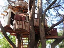 Maybe you would like to learn more about one of these? Tree House Wikipedia