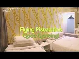 Check spelling or type a new query. Resorts World Genting Ep1 Xyz Deluxe Room Tour Flying Pistachios Goes Genting Youtube