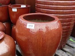 Cream ceramic glazed pot for larger floor plant. Large Glazed Pots Garden Planters And Vases Woodside Garden Centre Pots To Inspire