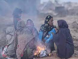 The cold increased, but it is only for 2 days, the mercury will rise on  30-31; Fog can cover on January 1 | मौसम में बदलाव: ठंड बढ़ी, लेकिन यह  सिर्फ 2