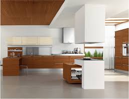 _interior design kitchen_ modern