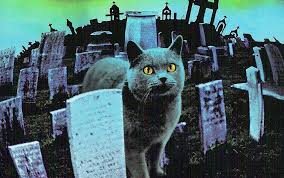 With jason clarke, amy seimetz, john lithgow, jeté laurence. Paramount Kembali Menghidupi Novel Horor Karya Stephen King Bertajuk Pet Sematary Whiteboard Journal