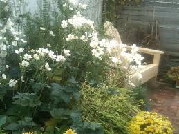O'rourke & birch florists is located at 170 freight st., ste b1 waterbury, ct 06702. My Secret Garden Garden Cult