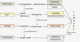 the treatment of cancer with chinese medicine