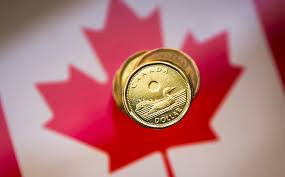 Check spelling or type a new query. Canadian Exporters Rejig Currency Hedges As Commodities Boom Reuters