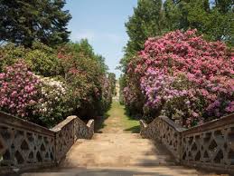 Read hotel reviews and choose the best hotel deal for your stay. Hever Castle Garden Stock Photos And Images 123rf