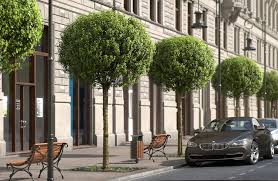 images?q=tbn%3AANd9GcR4dWwTas0Ecz9jdlN8nAlJS9OCcbFznvDvjQ&usqp=CAU