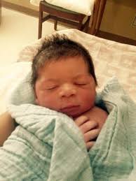 Shockey Family Newsletter