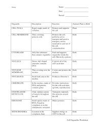 Nucleus the control center of the cell. Https Cpb Us E1 Wpmucdn Com Cobblearning Net Dist 4 1323 Files 2016 09 Cell Organelles Worksheet 2l8gbz3 Pdf