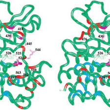 Sigue los pasos mostrados a continuación para liberar un celular at&t: Pdf Crystal Structure Of Bruton S Tyrosine Kinase Domain Suggests A Novel Pathway For Activation And Provides Insights Into The Molecular Basis Of X Linked Agammaglobulinemia