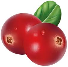 Red Cranberries Transparent Png Clip Art Image Gallery Yopriceville High Quality Images And Transparent Png Free Clipart Sour cherry old fashioned , cherry transparent background png clipart. gallery yopriceville