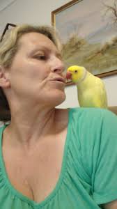 Baby Great tit sitting