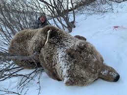 Bear Fall Hunt 2020 Russia Bookyourhunt Com