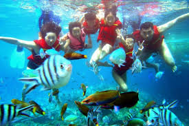 Pulau Redang Malaysia Tours Way Find Cheap Hotel Deals And Travel Malaysia Travel Malaysia Tour Hot Travel