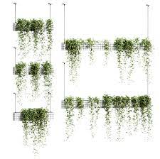 Ivy In Hanging Flower Pots 5 Models 3d Model Architecture Collage Tree Photoshop Hanging Flower Pots