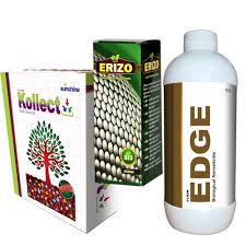 Africa birdseye chilli, ginger,cocoa,africa birds eye chilli. Sunshine Agri Pvt Ltd An Iso 9001 2000 Certified Company M 154 Midc Jalgaon 425003 Maharashtra