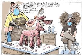 This observational study recruited 27 patients with hemophilia and arthropathy. Mark Knight S Best Covid Cartoons Of 2020 2021 Picture Gallery Nt News