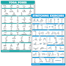 Poses are perfectly aligned and correctly performed. Quickfit Yoga Poses And Stretching Exercise Poster Set Laminated 2 Chart Set Yoga Positions Stretching Workouts Buy Online In Dominica At Dominica Desertcart Com Productid 129493200