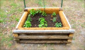 Raised garden bed design ideas. How To Build Elevated Garden Beds Home Decor And Interior Design