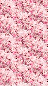 Real Pink Roses Pretty Phone Wallpaper Pink Wallpaper Pink Wallpaper Iphone