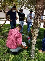 Hoy 16 de septiembre 2020 se...