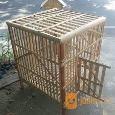 Berapa sih ukuran kandang yang pass untuk ayam jago ?bahan apa saja yang biasa saya gunakan ?nah kali ini saya bahaskan tentang kandang yang biasa saya buat,. Kandang Jago Kurungan Ayam Kurungan Jago Kandang Ayam Kab Bantul Jualo