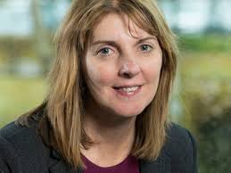 Professional support