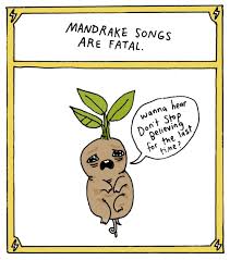 Artist A Href Http Go Redirectingat Com Id 74679x1524629 Sref Https 3a 2f 2fwww Buzzfeed Com 2 Harry Potter Creatures Harry Potter Facts Harry Potter Funny