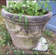 Check spelling or type a new query. How Can I Make A New Pot Look Old Hometalk