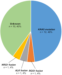 pie chart of the frequencies of driver oncogenes detected