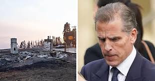 Hunter Biden's Malibu rental home has been destroyed by the Pacific  Palisades Fire.