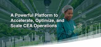 17 Tech Companies in Charleston, SC