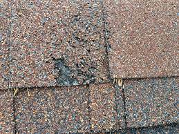 Check spelling or type a new query. What S The Scoop On Shingle Sediment Gutter Guards Direct