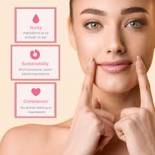 Amazon.com : Ellovi Natural Lip Butter Lip Balm