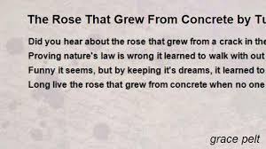 Long live the rose that grew from concrete when no one else even cared. The Rose That Grew From Concrete By Tupac By Grace Pelt The Rose That Grew From Concrete By Tupac Poem