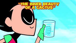 Oh, you were talking about actual animals. The Inner Beauty Of A Cactus Teen Titans Go Wiki Fandom