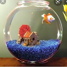 Fish bowl shella 1.5 liter / aquarium bulat / toples ikan. Detail Gambar Aquarium Bulat Dan Toples 12 3l Sedia Toples Calista 1 Set K