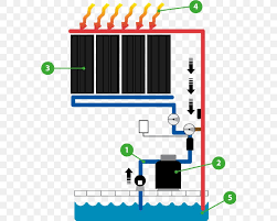 Day 1 finals heat sheet; Olympic Size Swimming Pool Solar Energy Berogailu Png 578x657px Swimming Pool Area Berogailu Cost Diagram Download