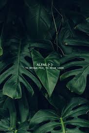 20 Creative Outdoor Wall Decor Ideas Iphone Wallpaper Green Green Aesthetic Plants