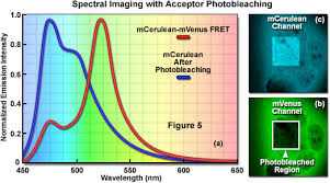 نتیجه جستجوی لغت [fret] در گوگل