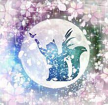 花吹雪の翼猫と蝶の舞いの画像 プリ画像 snow globes decor home decor