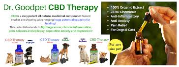 I generally recommend cbd oil for pets suffering from cancer. Dr Goodpet Cbd Hemp Oil For Dogs And Cats