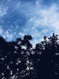 Wallpaper langit awan malam bulan gelap langit malam hd. Awan Langit Pemandangan Langit Fotografi