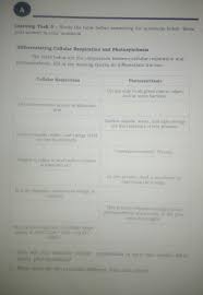 Say goodbye to boring revision, we've rounded up model examplar answers, worksheets and all kinds of resources to help aqa english language paper 1 question 5 (updated & animated). Learning Task 5 Science Week 4 Grade 9differentiating Cellular Respiration And Photosynthesis Brainly Ph