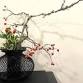 Social: Introduction to Ikebana