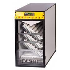 Prices on cabinet incubators can range from around $500 up to several thousands. Ova Easy 380 Advance Series Ii Cabinet Incubator