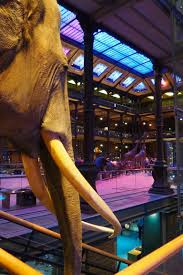 Epingle Par Laure Sur Jardin Des Plantes Paris Jardin Des Plantes Paris Museum National D Histoire Naturelle Paris