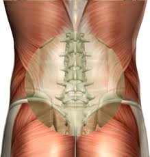 Rotating 3d molecular model of this website uses cookies to improve your experience while you navigate through the. Your Only As Old As Your Spine Is Flexible Plymouth Chiropractor