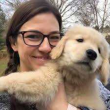 25 cute Golden Retriever puppies for sale in Potomac, Maryland