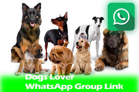 Dog WhatsApp Group Links | Connect with Dog Lovers and Enthusiasts